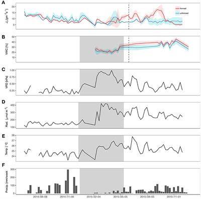Drought Effects on Tectona grandis Water Regulation Are Mediated by Thinning, but the Effects of Thinning Are Temporary